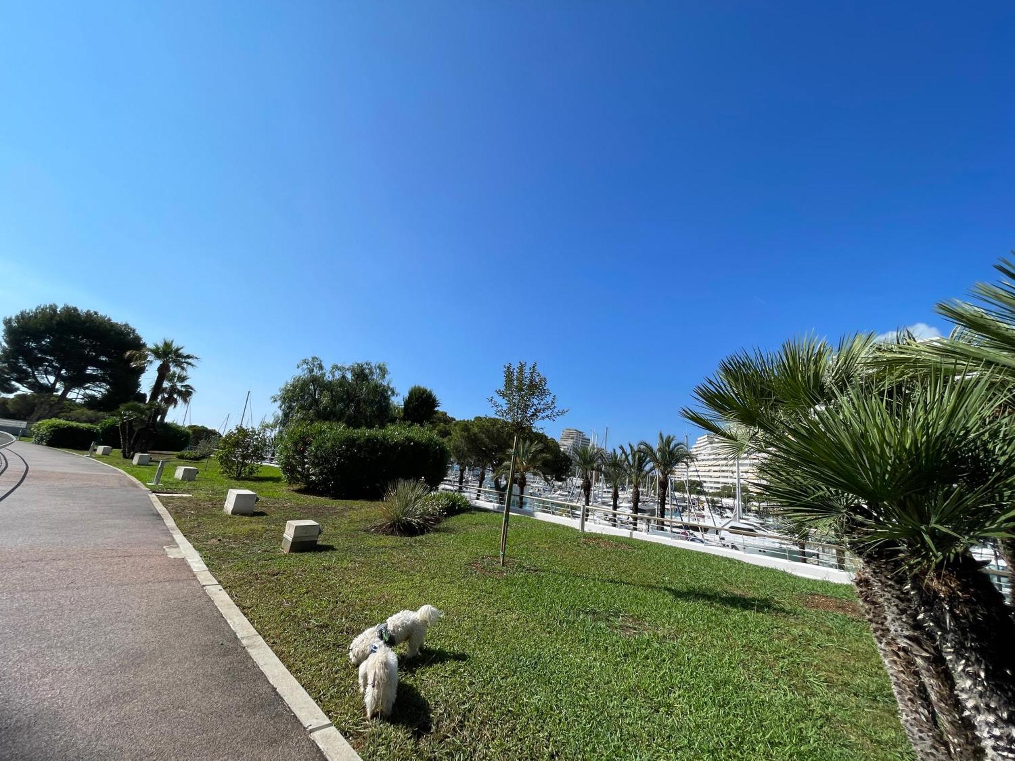 Studio A 2 Pas De La Plage Villeneuve-Loubet Exteriör bild